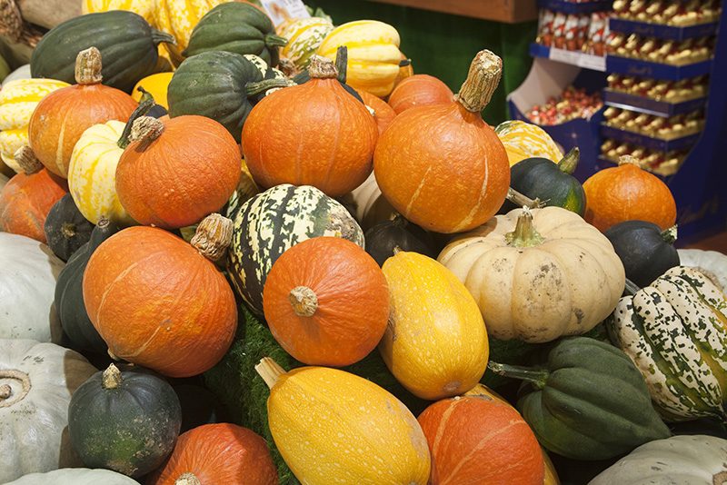 FRV-Pumpkin_and_squash.jpg