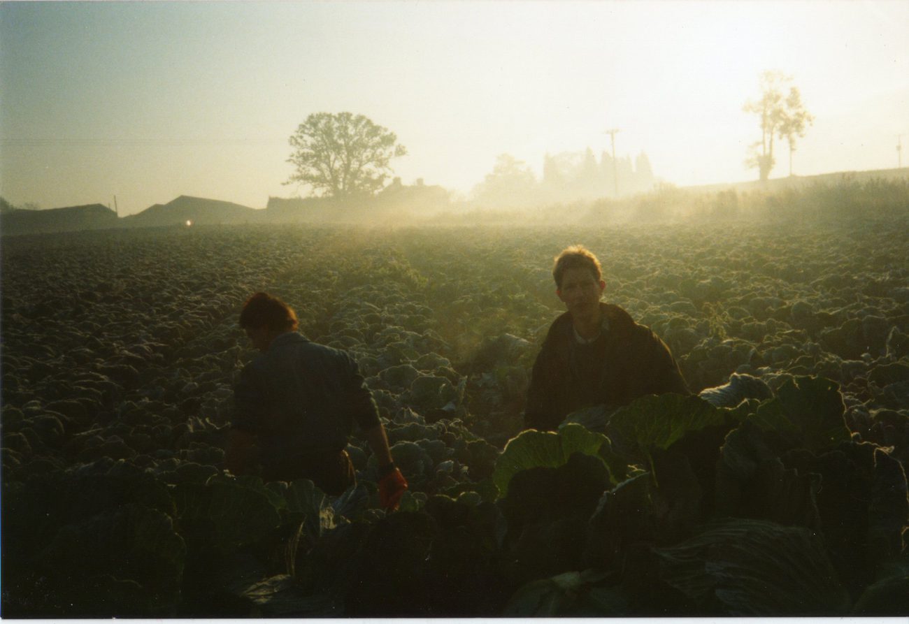 History-Farmers_cutting_cabbage.jpg